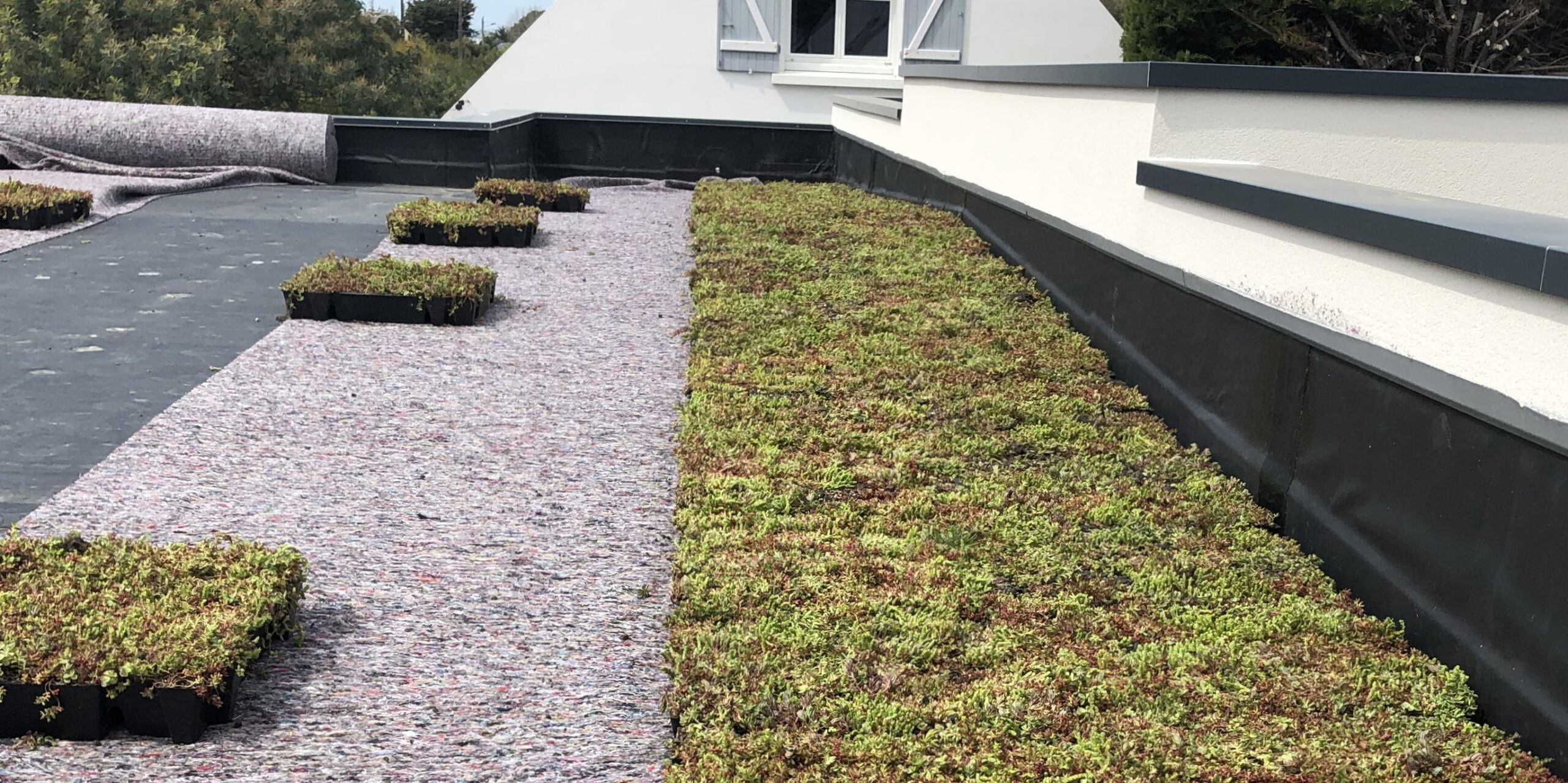 Green Roof Capillary Matting