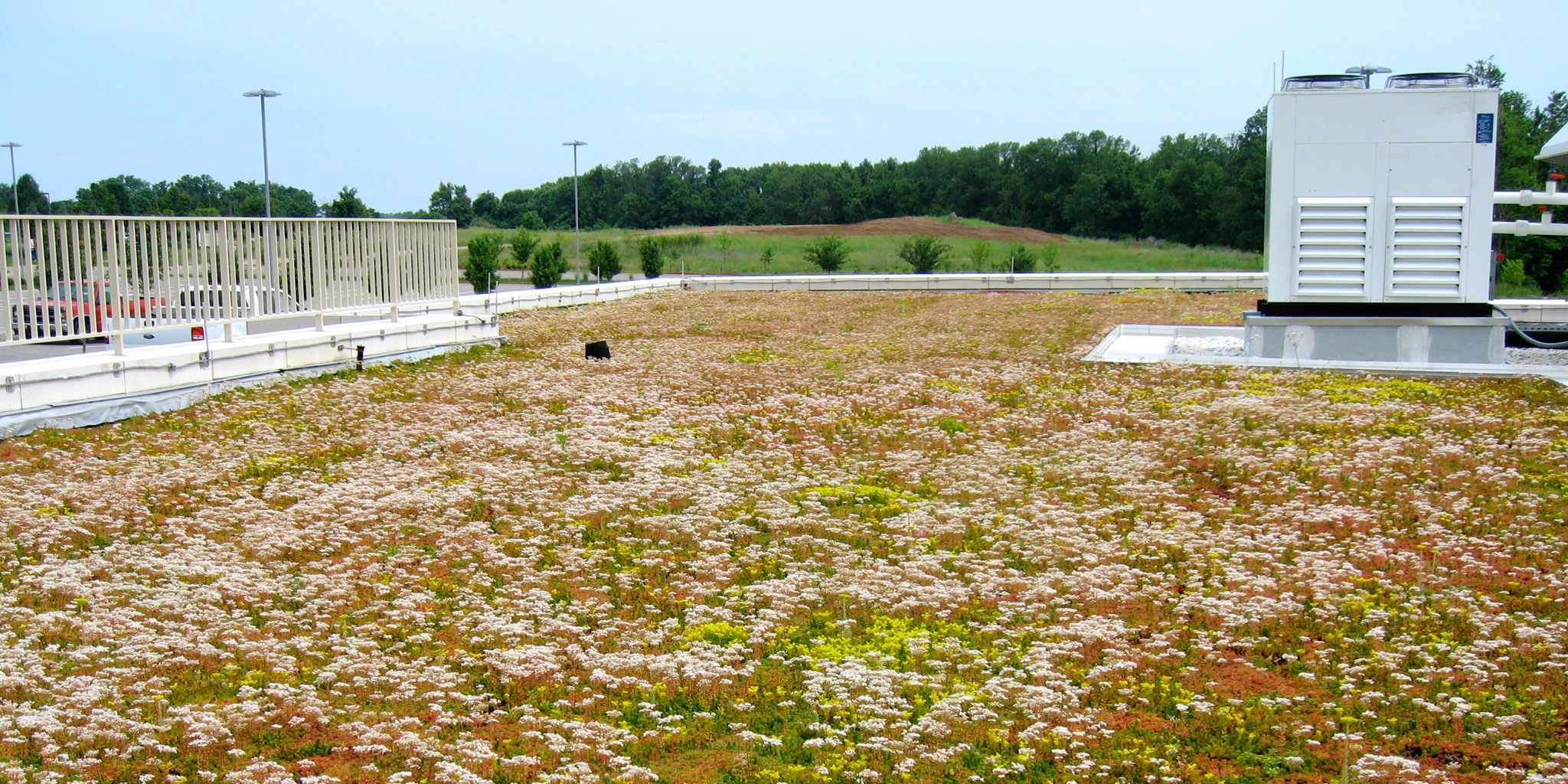 Green Roof